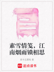 素雪情笺，江南烟雨锁相思在线阅读