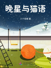 晚星与猫语