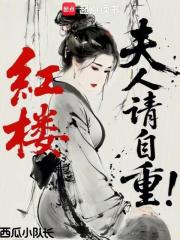 红楼：夫人请自重！在线阅读