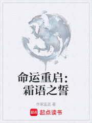 命运重启：霜语之誓