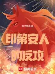 印第安人的反攻在线阅读