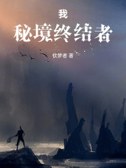 我，秘境终结者