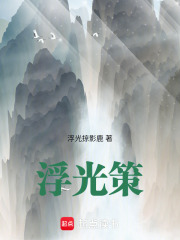 浮光策在线阅读