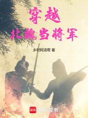 穿越北魏当将军