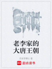 老李家的大唐王朝