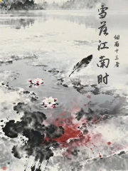 雪落江南时