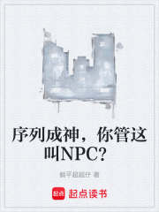 序列成神，你管这叫NPC？