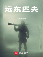 远东匹夫在线阅读