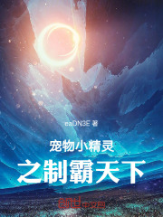 宠物小精灵之制霸天下