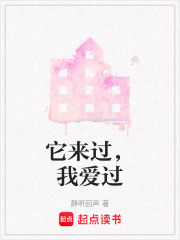 它来过，我爱过在线阅读