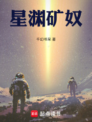 星渊矿奴