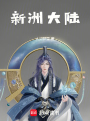 新洲大陆