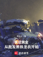 失足黄金：从批发黑铁圣衣开始