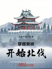 穿越崇祯：开始北伐！