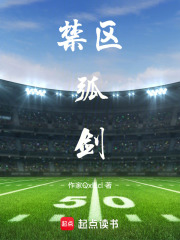 禁区弧剑在线阅读