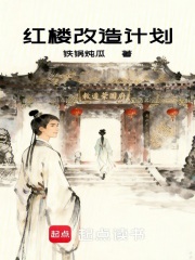 红楼改造计划在线阅读