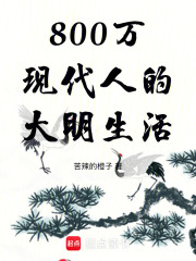 800万现代人的大明生活