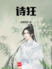 诗狂在线阅读
