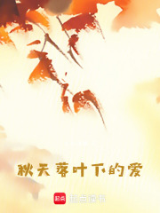 秋天落叶下的爱
