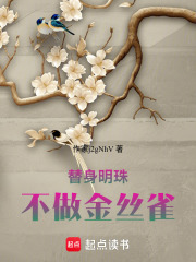替身明珠：不做金丝雀在线阅读