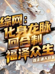 综网：化身龙脉回合制福泽众生在线阅读