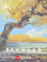 平凡修仙之录封面