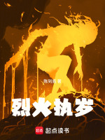 烈火执岁封面