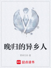 晚归的异乡人在线阅读
