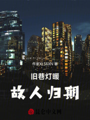 旧巷灯暖故人归期