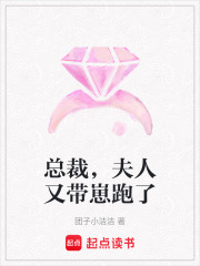 总裁，夫人又带崽跑了