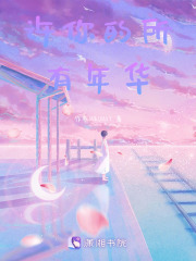 许你的所有年华在线阅读