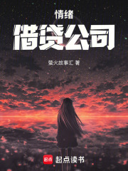 情绪借贷公司