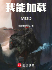 我能加载MOD！