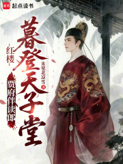 红楼：贾府伴读郎，暮登天子堂