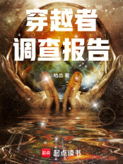 穿越者调查报告