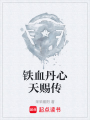 铁血丹心天赐传