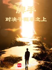 牌手：对决于概率之上