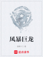 风暴巨龙在线阅读