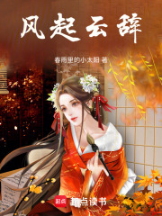 风起云辞在线阅读