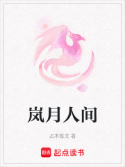 岚月人间在线阅读