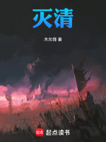 灭清封面