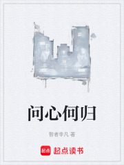 问心何归在线阅读