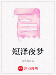 短泽夜梦在线阅读