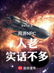 网游NPC，人老，实话不多！