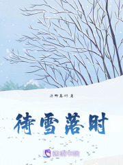 待雪落时在线阅读