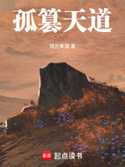 孤身篡天