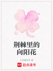 荆棘里的向阳花