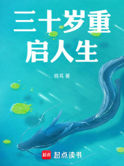 三十岁重启人生在线阅读