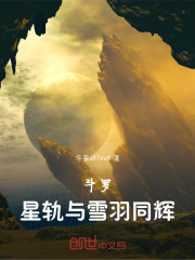 斗罗：星轨与雪羽同辉