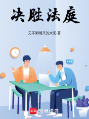 决胜法庭